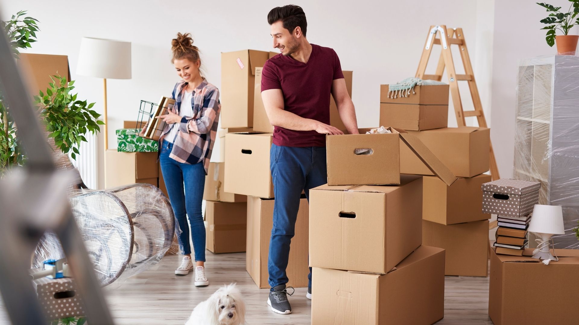 Priority Tasks for Your Move in